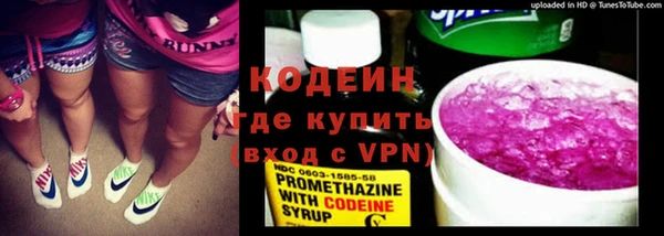 прущий лед Вяземский