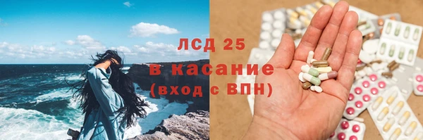 прущий лед Вяземский