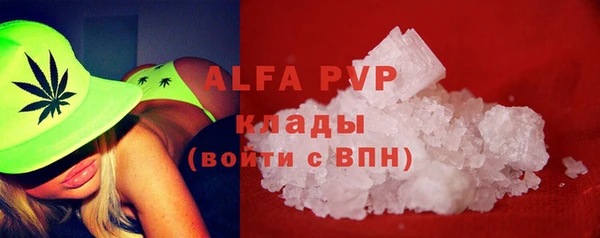 прущий лед Вяземский
