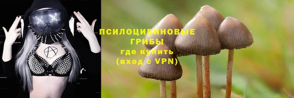 прущий лед Вяземский