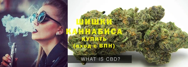 прущий лед Вяземский